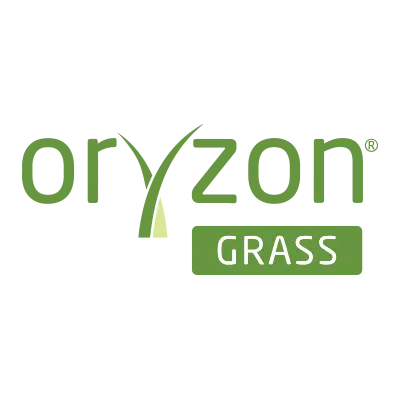 Oryzon grass